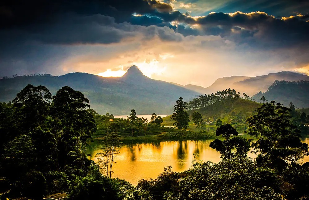 7 grunner til å besøke Sri Lanka