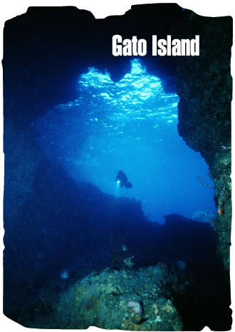 Diving the Philippines
