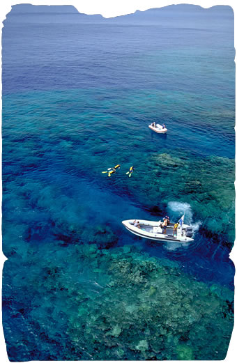 Diving the Rock of Polynesia