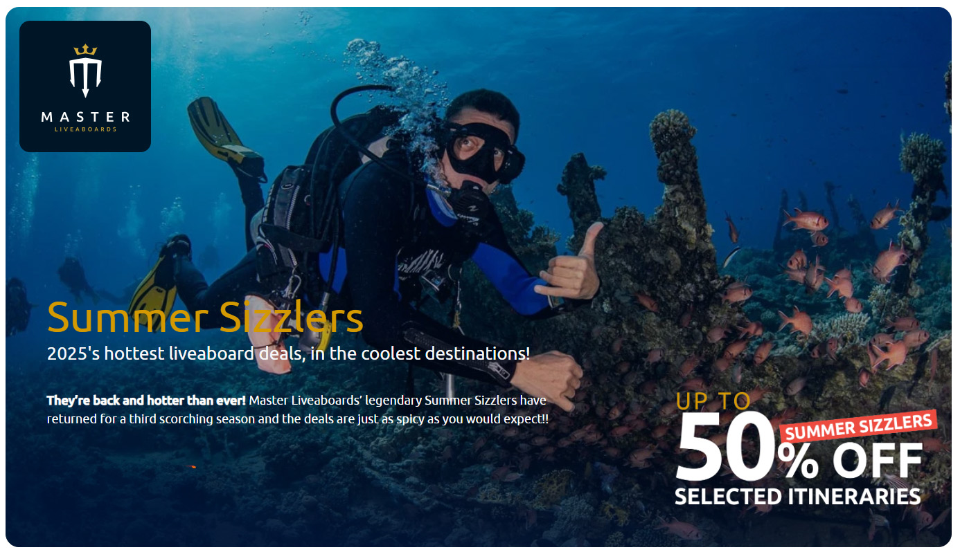 Master Liveaboard Summer Sizzler