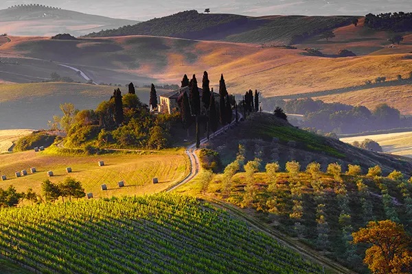 Historien til Chiantiviner i Toscana