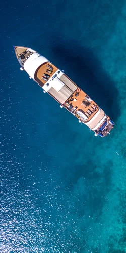 Tilleggsalternativer