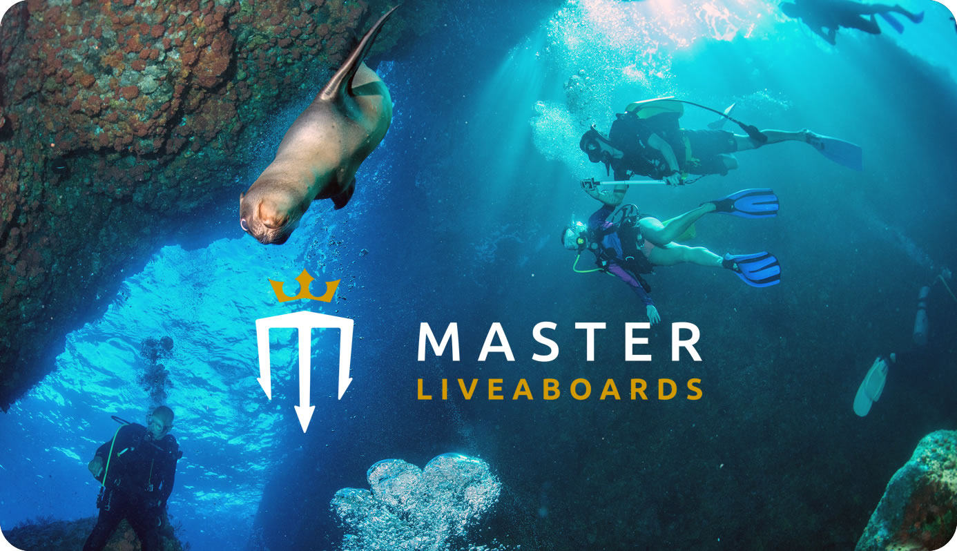 Master Liveaboards Special Offers